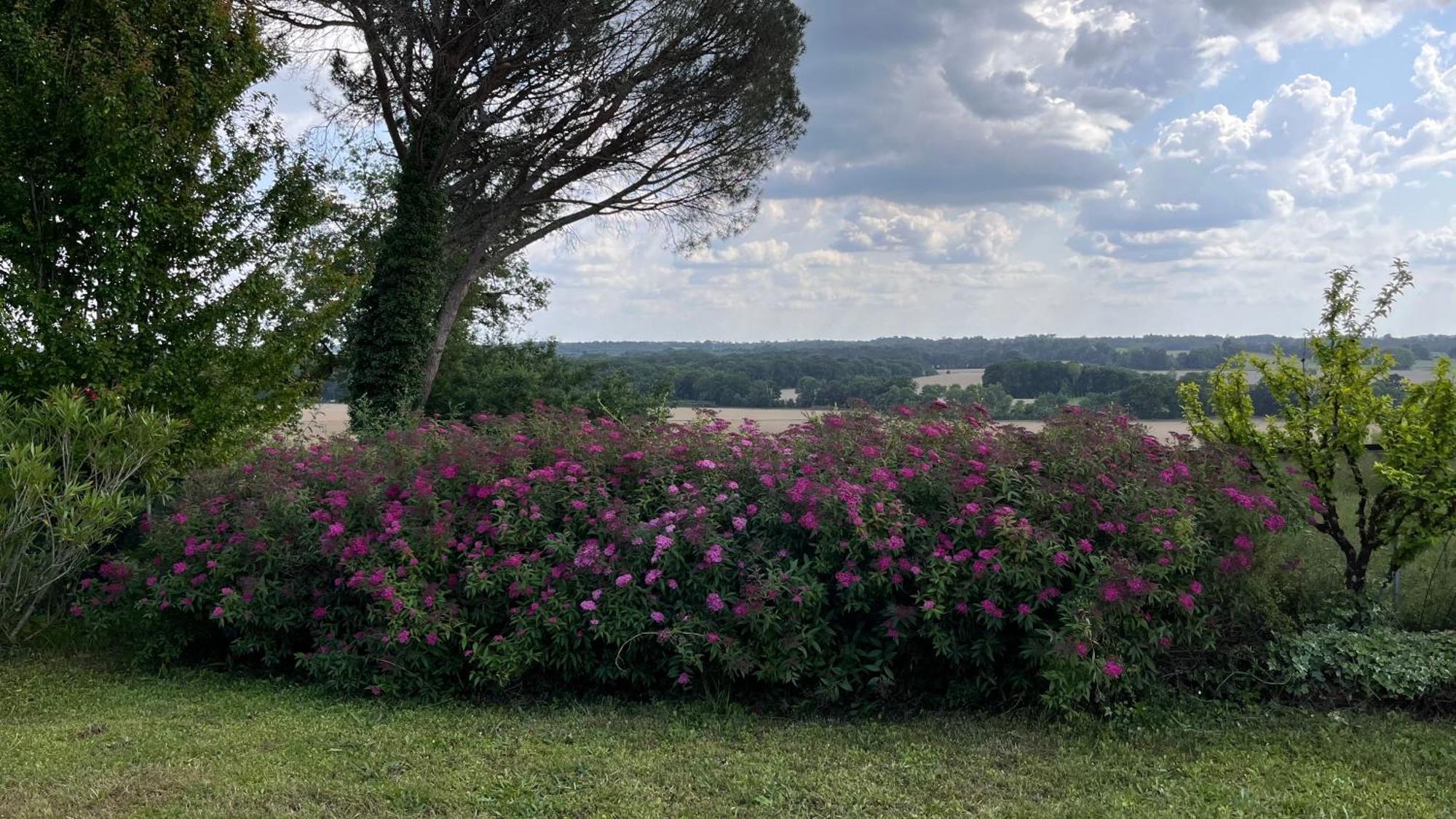 Metairie De Moutiques Villa Cazaubon Bagian luar foto